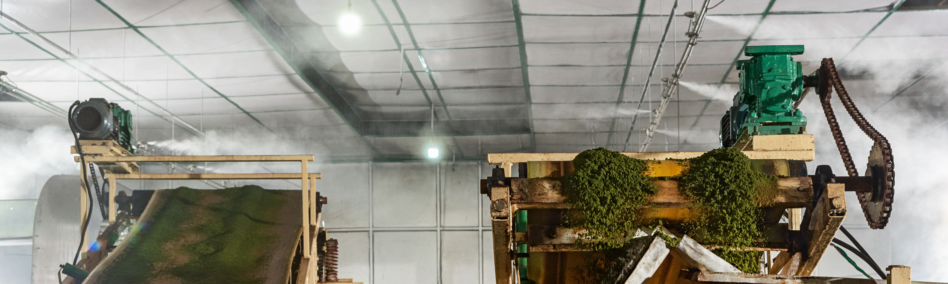 Tea factory humidifier